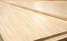 桐木好色先生在线观看下载為什麽會這麽引人注目