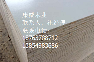 好色先生在线观看下载