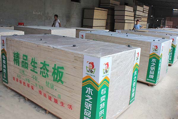 桐木精品好色先生在线观看下载