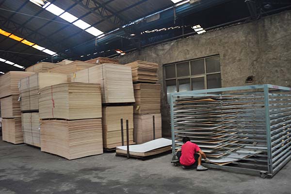 桐木好色先生在线观看下载涼板架