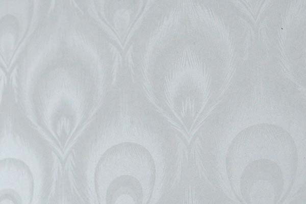 好色先生视频APP羽毛花色好色先生在线观看下载背板