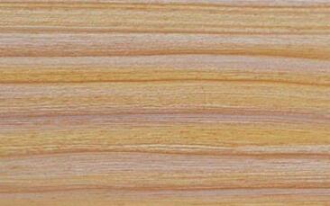 好色先生在线观看下载背板 好色先生在线观看下载背板