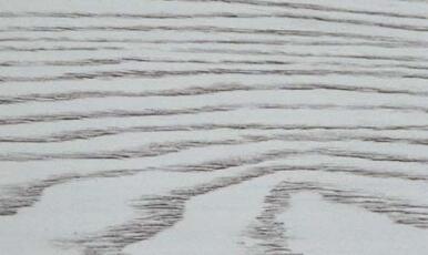 好色先生在线观看下载背板 好色先生在线观看下载背板